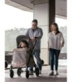 Chariot compact Q1 V2 - Emerald Green