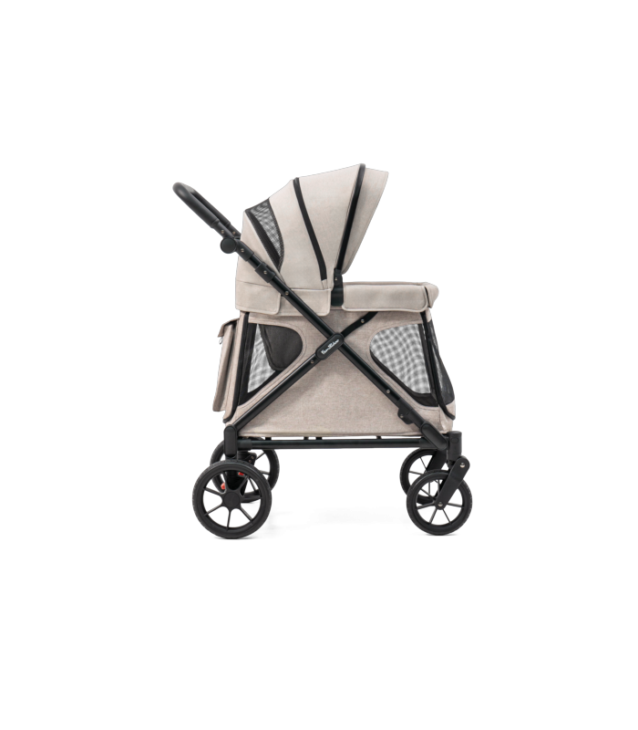 Chariot compact Q1 V2 - Ash Rose