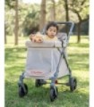 Chariot compact Q1 V2 - Ash Rose