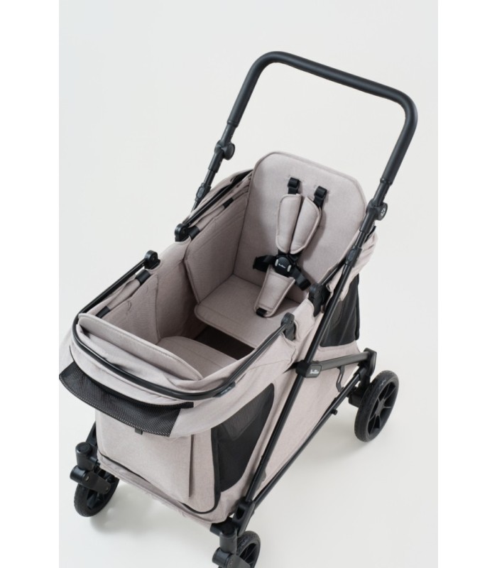 Chariot compact Q2 - Ash Rose