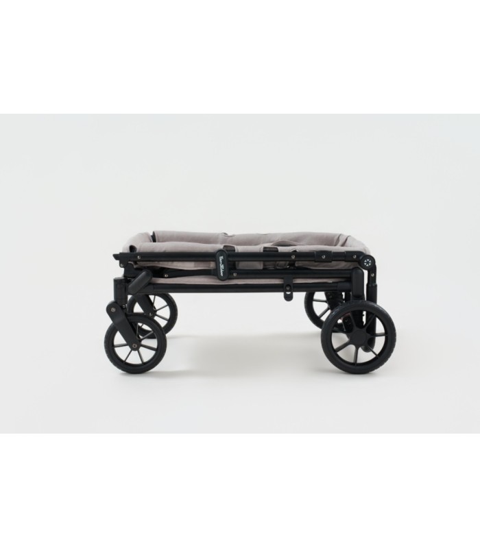 Chariot compact Q2 - Ash Rose
